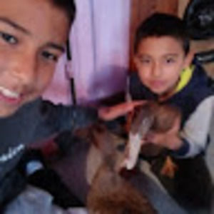 Meet your Posher, Aaron